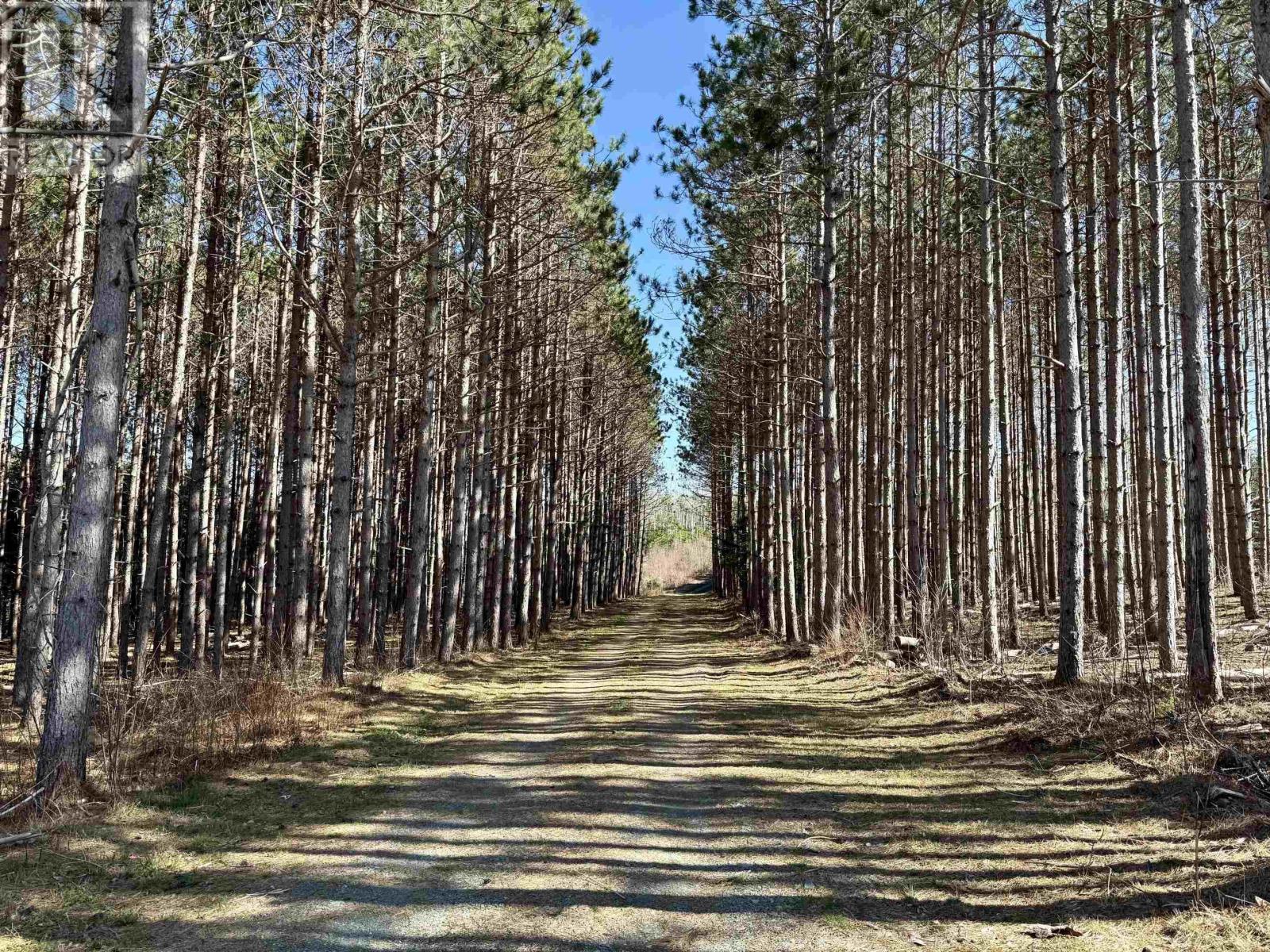 Lot 24-3 Ridge Road, North Range, Nova Scotia  B0W 1H0 - Photo 11 - 202608675