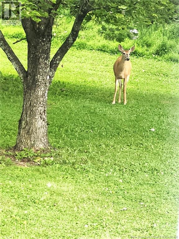 215 Lansdowne Road, Peel, New Brunswick  E7L 4A7 - Photo 29 - NB134738