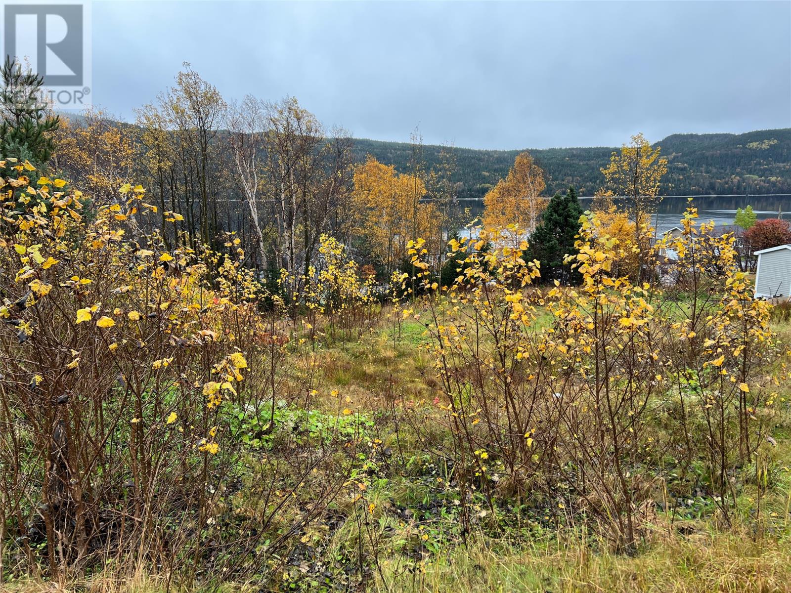 6 Diagonal Road, Baie Verte, Newfoundland & Labrador  A0K 1B0 - Photo 3 - 1296622