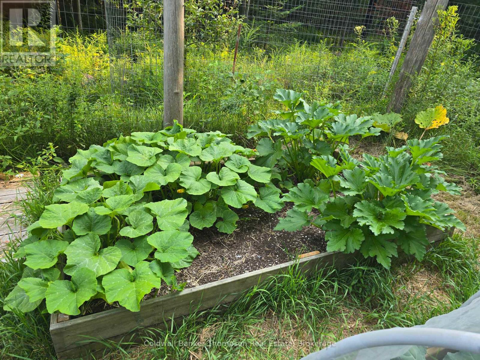 1357 Ravenscliffe Road, Huntsville, Ontario  P1H 2N5 - Photo 38 - X13051268