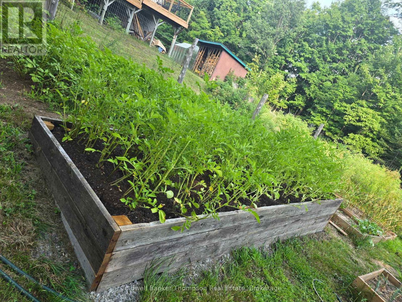 1357 Ravenscliffe Road, Huntsville, Ontario  P1H 2N5 - Photo 39 - X13051268