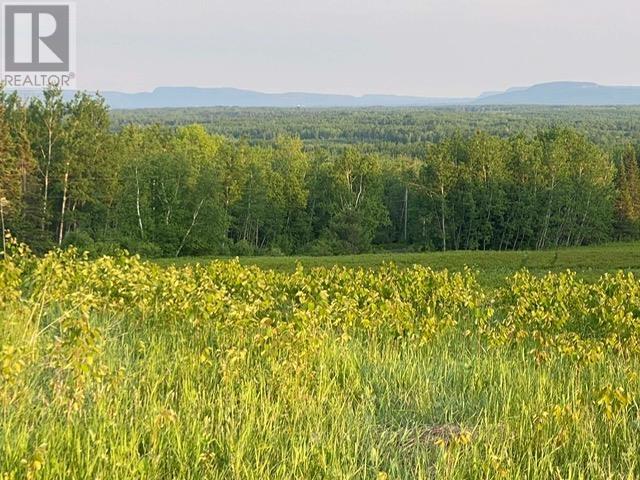 Part 2 Lot 15 Lynn Rd, Oliver Paipoonge, Ontario  P0T 2G0 - Photo 6 - TB2600616