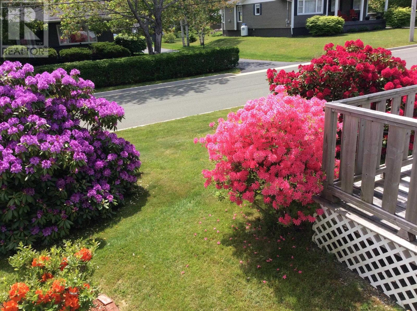 14 Edina Street, Glace Bay, Nova Scotia  B1A 1G7 - Photo 31 - 202608764