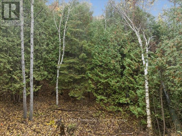 838 Brookdale Road, Uxbridge, Ontario  L9P 1R4 - Photo 10 - N13047490