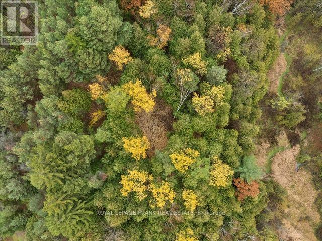 838 Brookdale Road, Uxbridge, Ontario  L9P 1R4 - Photo 15 - N13047490