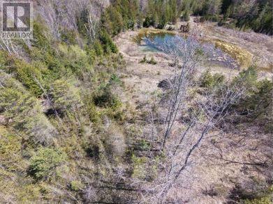305 Valley Road, Prince Edward County, Ontario  K0K 1A0 - Photo 46 - X13000678