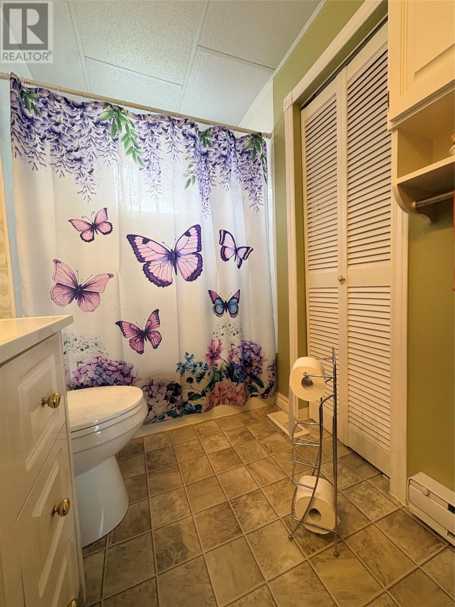 162 Main Street, Summerford, Newfoundland & Labrador  A0G 4E0 - Photo 17 - 1296652