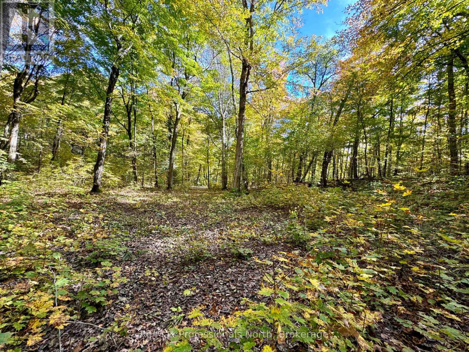 234 Longs Lake Road, Huntsville, Ontario  P0B 1M0 - Photo 10 - X13051358