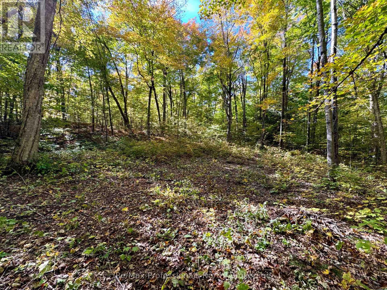 234 Longs Lake Road, Huntsville, Ontario  P0B 1M0 - Photo 8 - X13051358