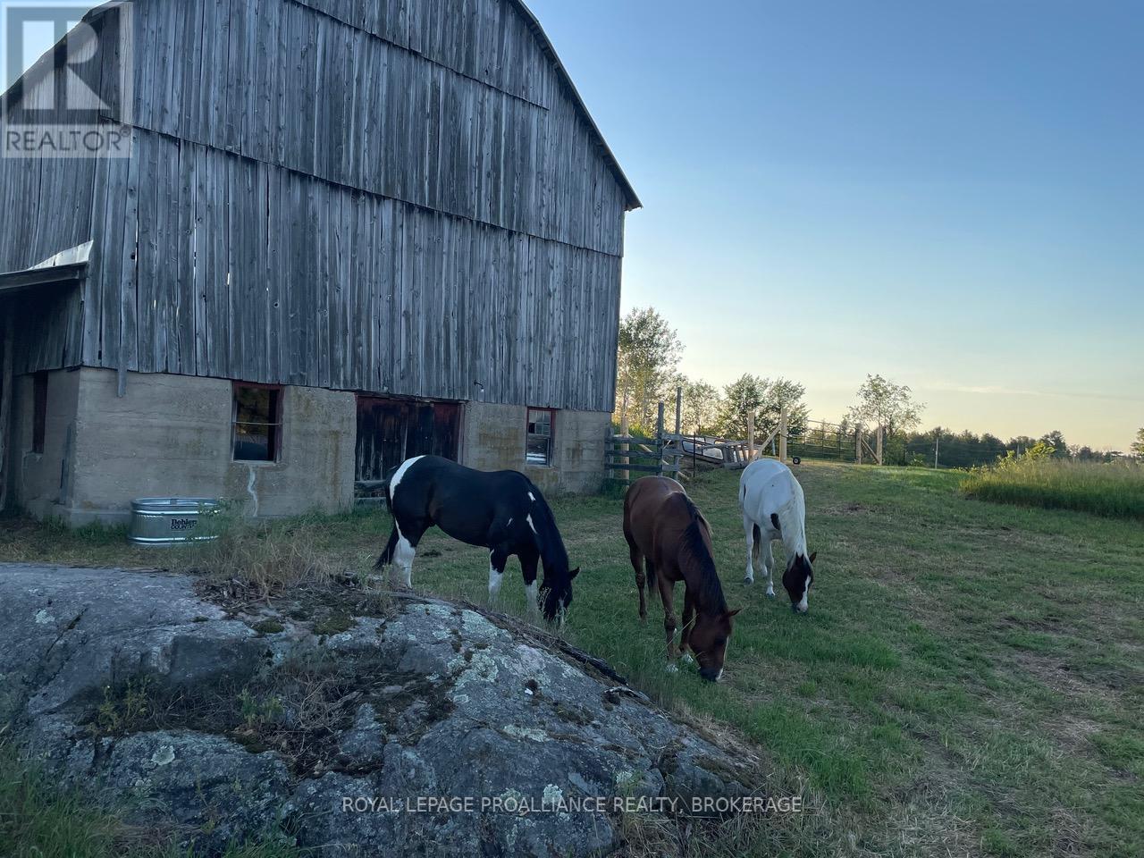 9508 Road 38, Frontenac, Ontario  K0H 1T0 - Photo 12 - X13051356