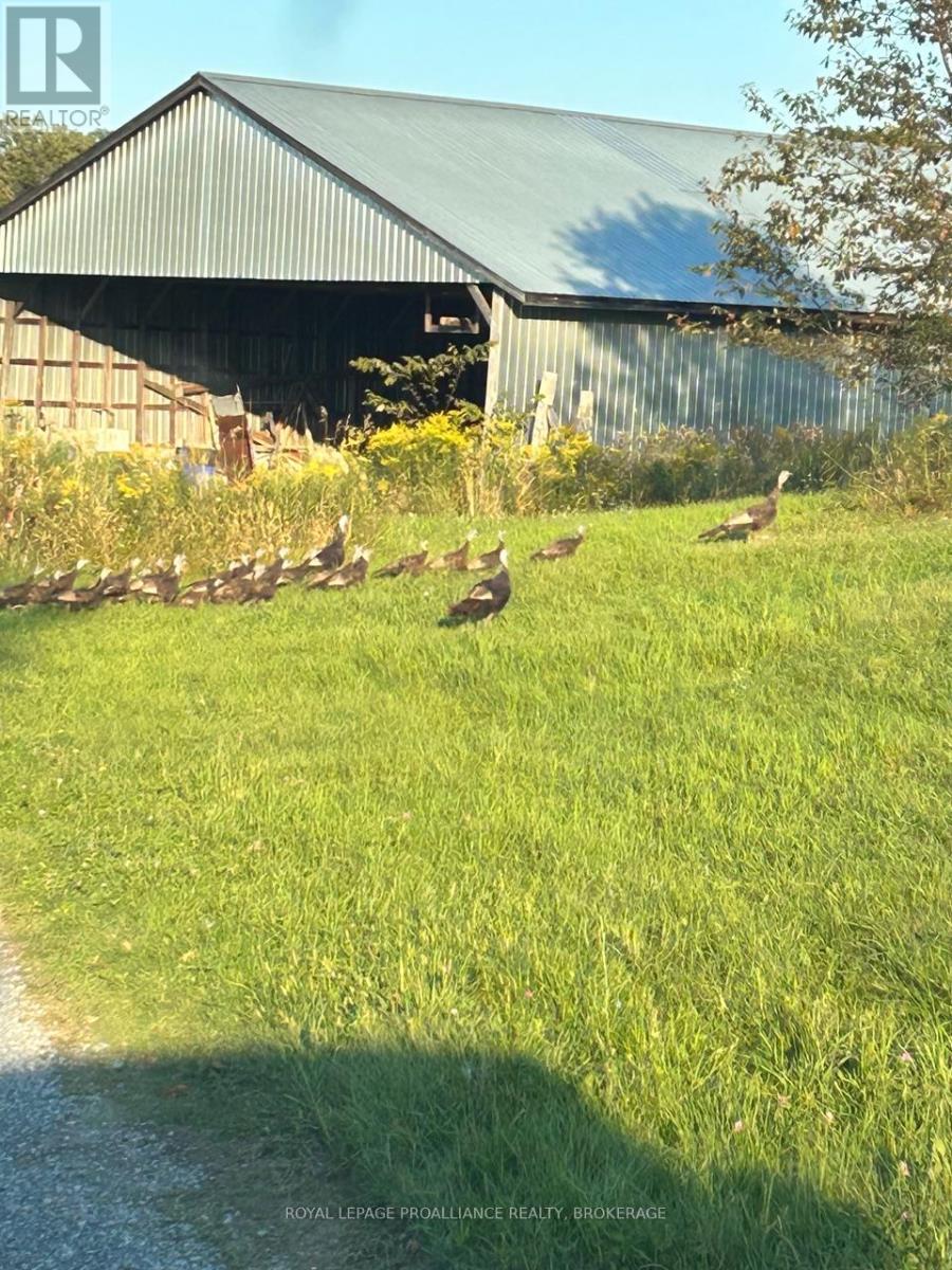 9508 Road 38, Frontenac, Ontario  K0H 1T0 - Photo 13 - X13051356