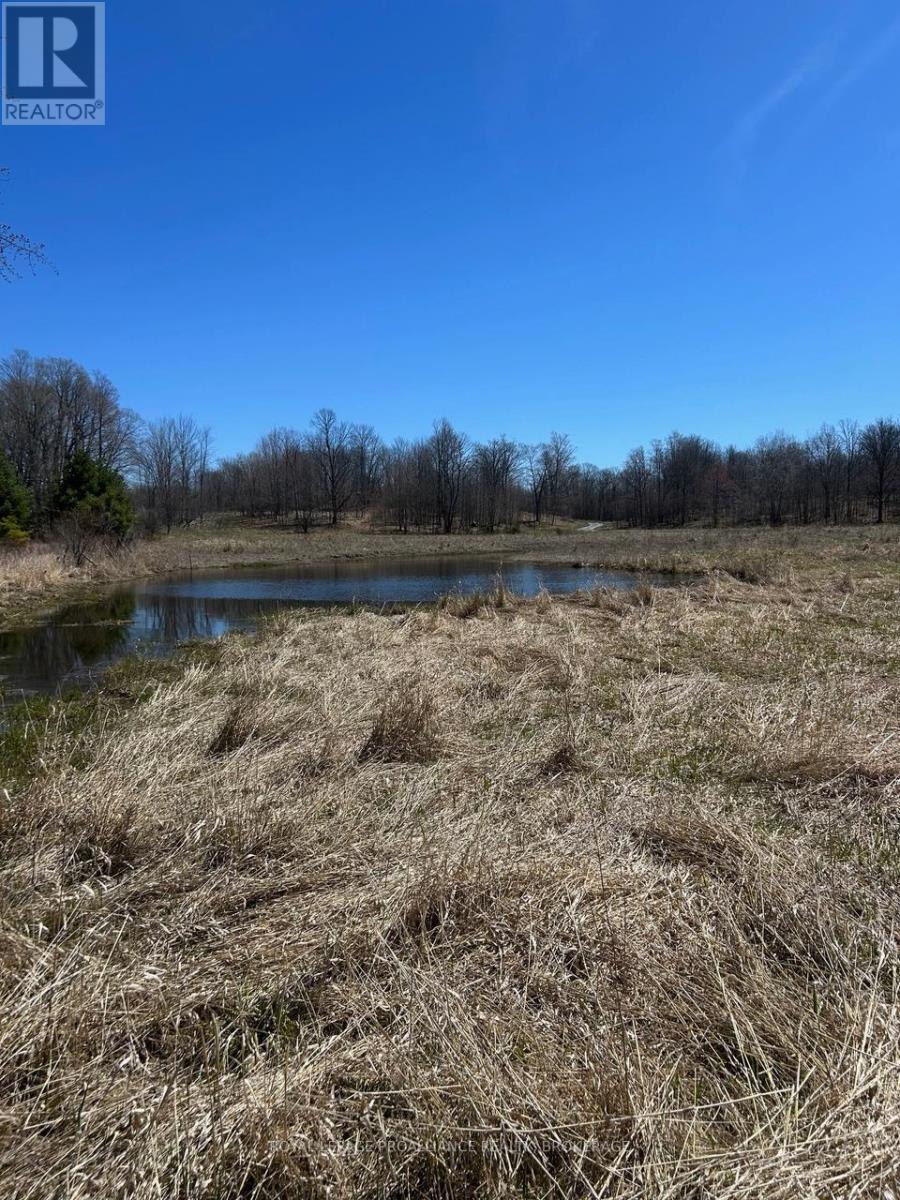 9508 Road 38, Frontenac, Ontario  K0H 1T0 - Photo 6 - X13051356