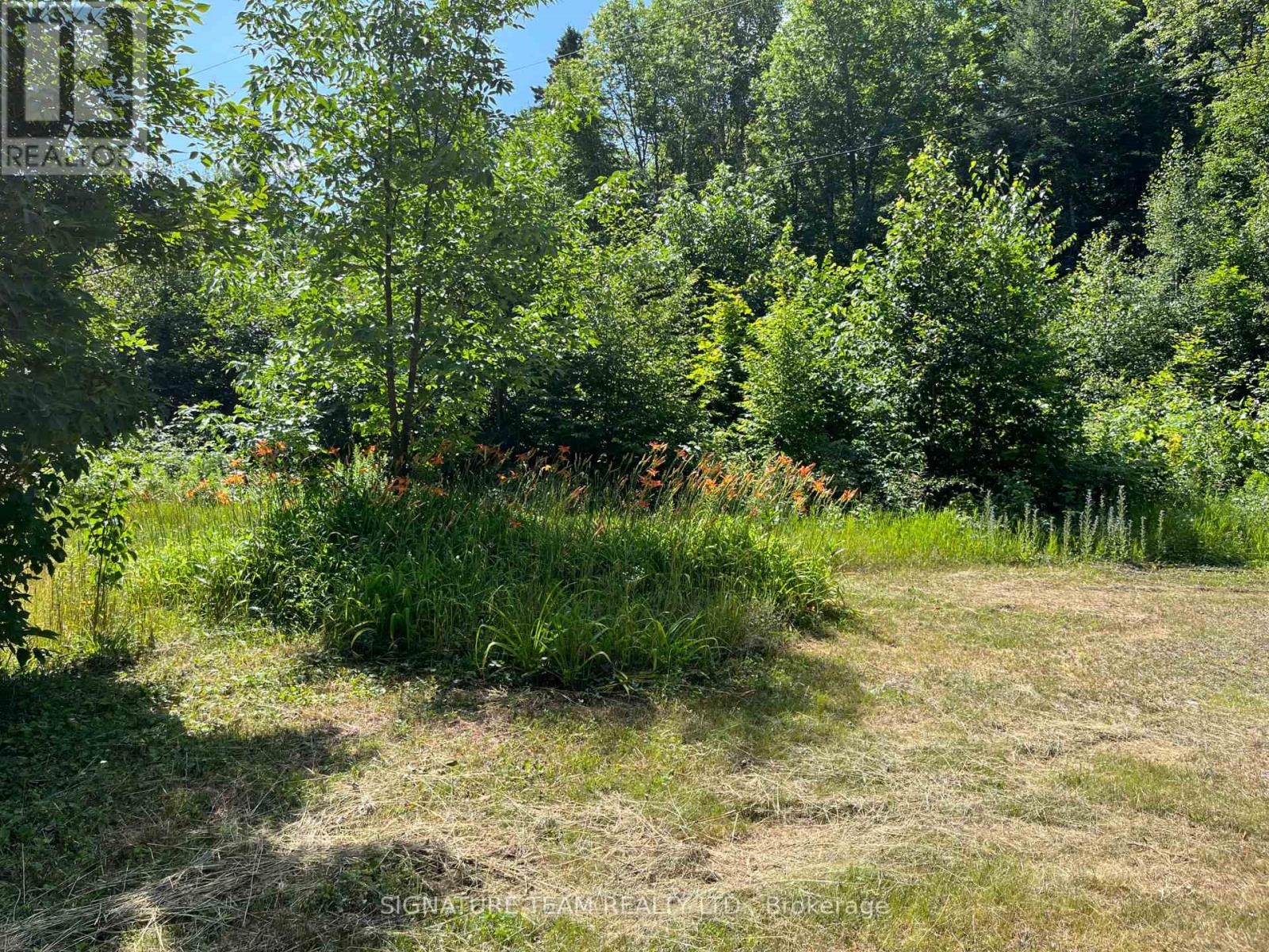 19626 41 Highway, Addington Highlands, Ontario  K0H 1K0 - Photo 35 - X12300111