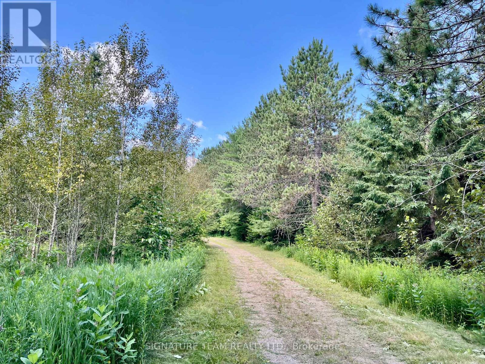 19626 41 Highway, Addington Highlands, Ontario  K0H 1K0 - Photo 31 - X12300111