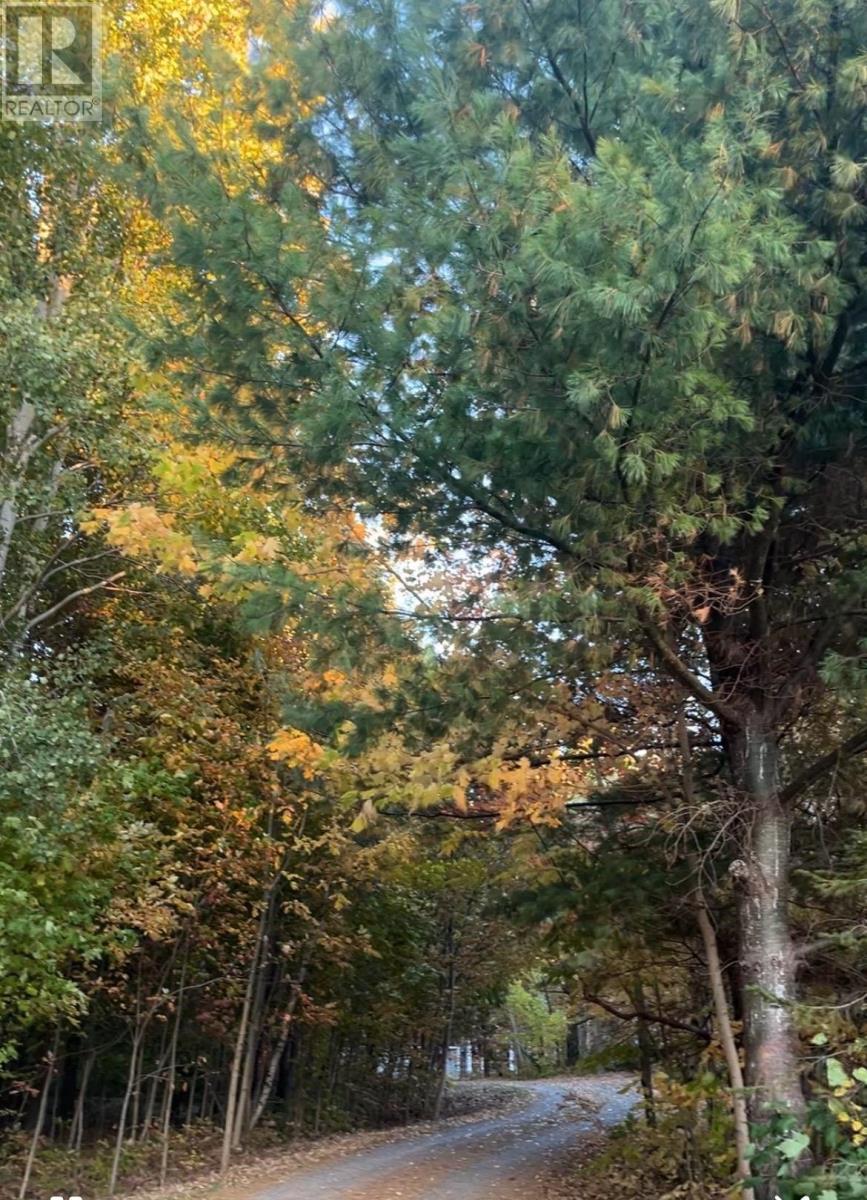 822 Cleveland Road, Windermere, Nova Scotia  B0P 1E0 - Photo 45 - 202528724