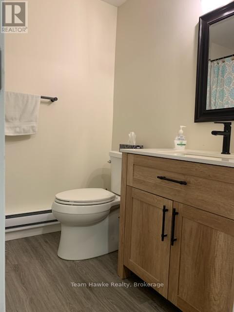 Lower Level - 630 Bayview Drive, Midland, Ontario  L4R 2P5 - Photo 10 - S12757448