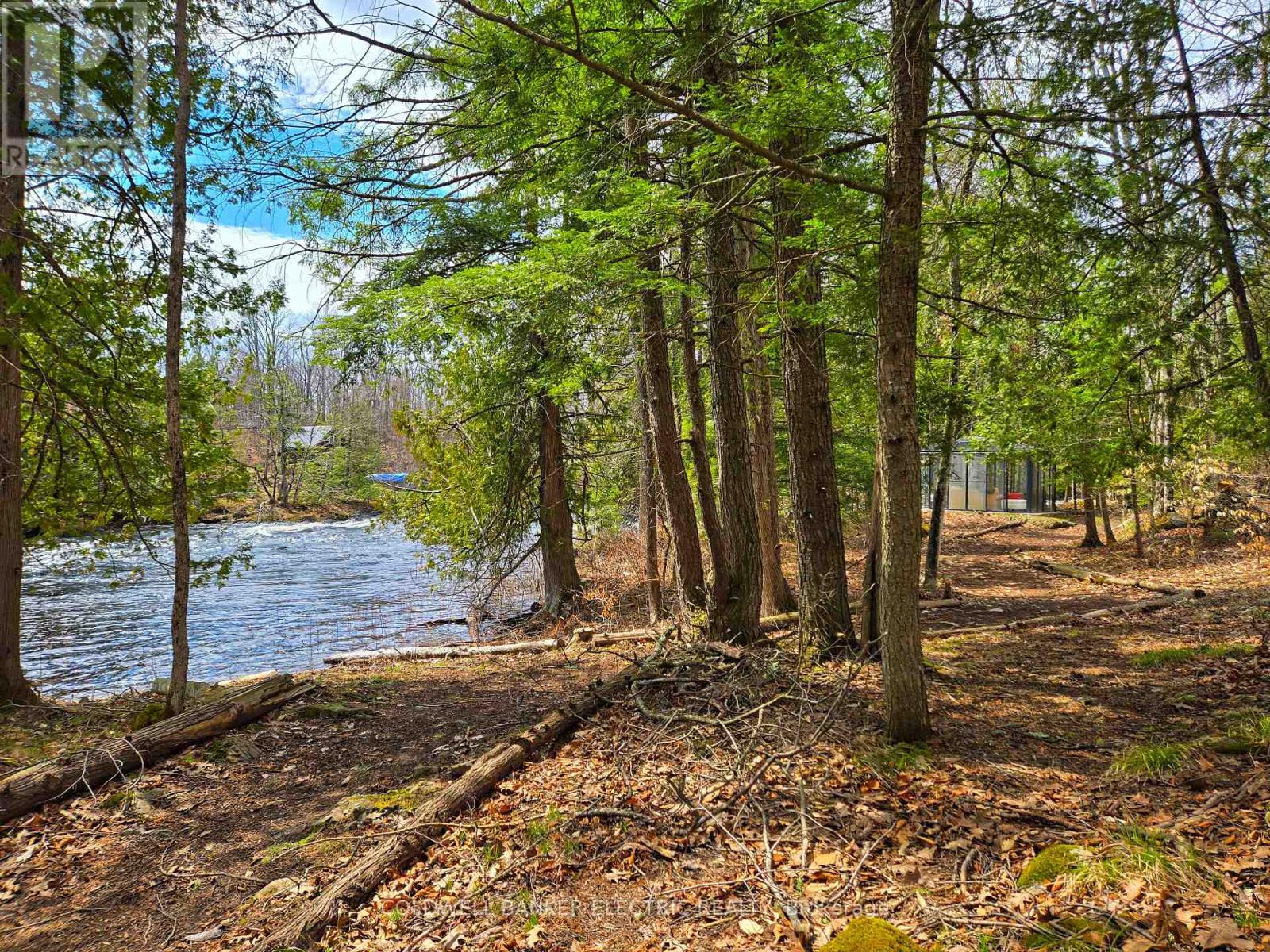 411 Fidlar Glen Road, Marmora And Lake, Ontario  K0K 2M0 - Photo 6 - X13026802