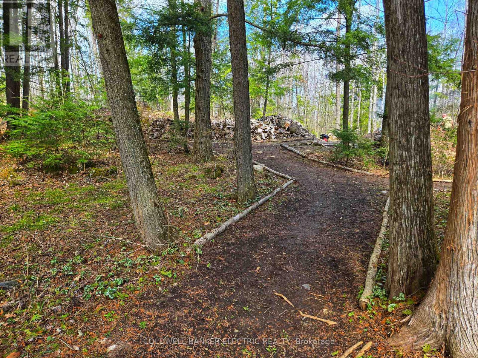 411 Fidlar Glen Road, Marmora And Lake, Ontario  K0K 2M0 - Photo 5 - X13026802