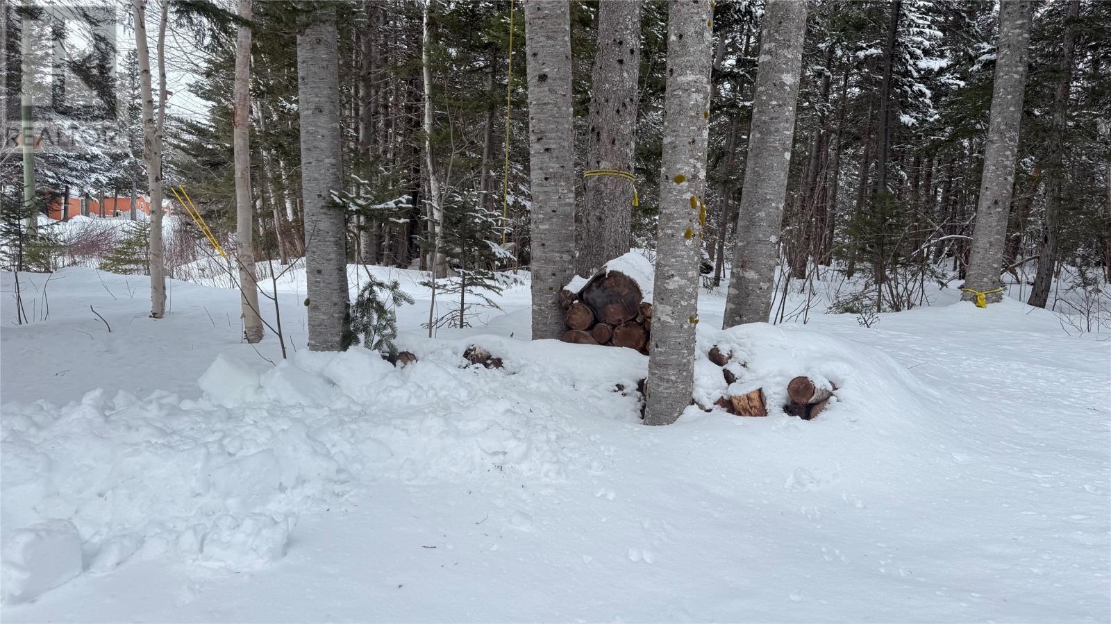 2 West Bottom North Road, West Bottom North, Newfoundland & Labrador  A0J 1S0 - Photo 19 - 1294659