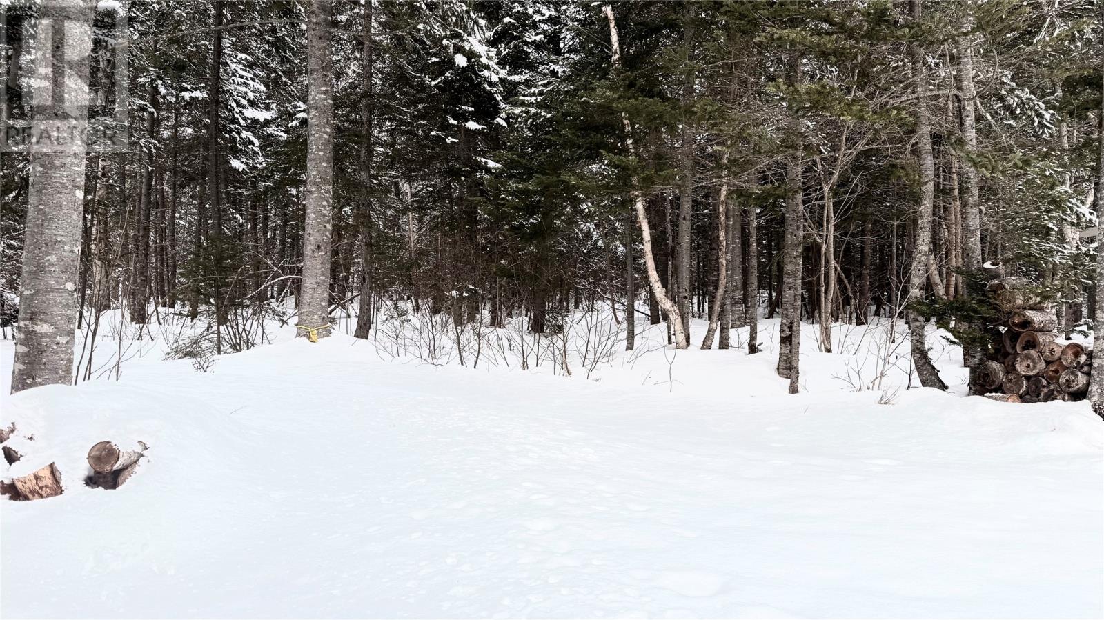 2 West Bottom North Road, West Bottom North, Newfoundland & Labrador  A0J 1S0 - Photo 20 - 1294659