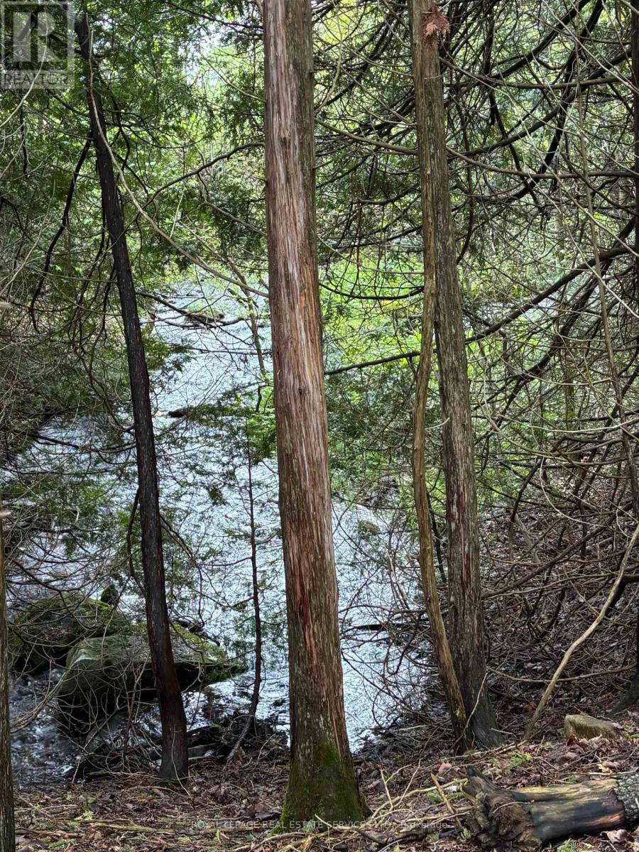 58111 12th Line (13 Acre Severed Parcel) Road, Meaford, Ontario  N4L 1W5 - Photo 11 - X13045212