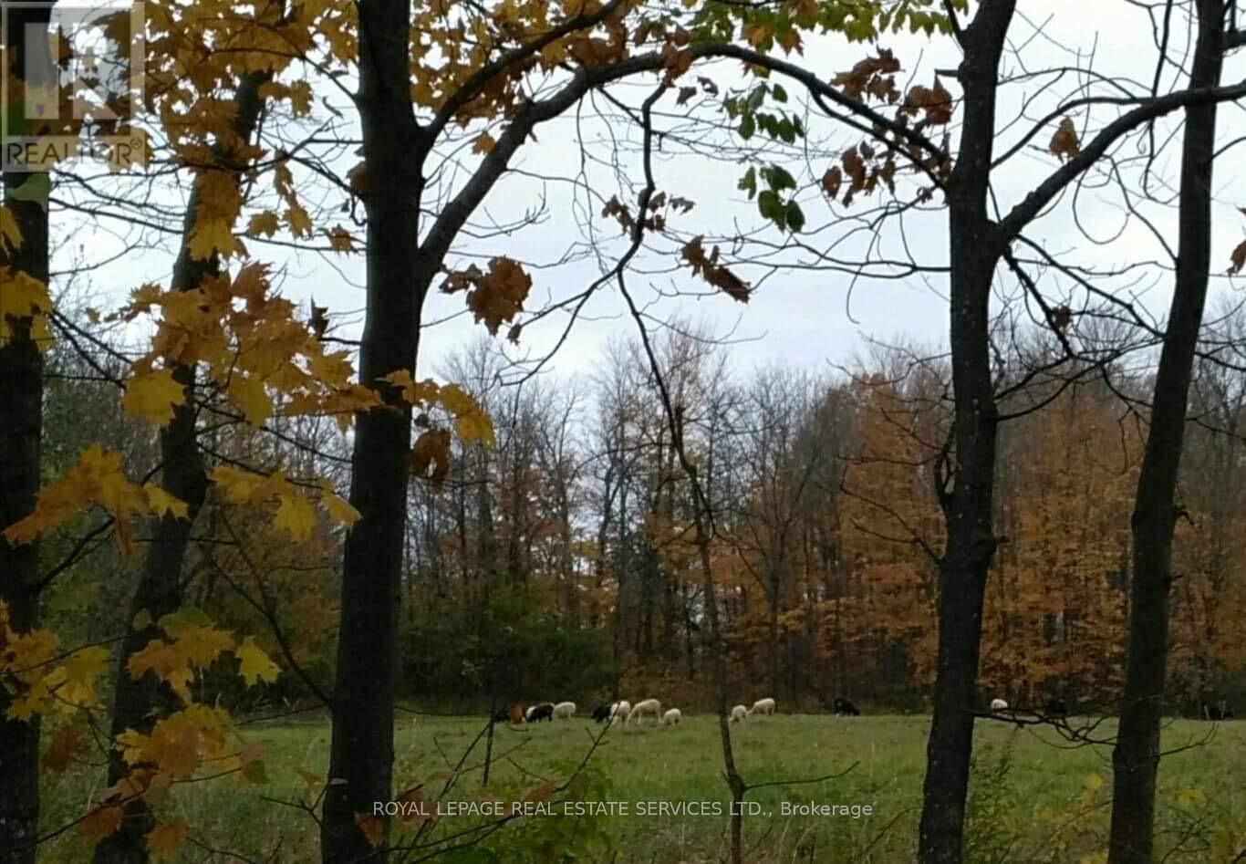 58111 12th Line (13 Acre Severed Parcel) Road, Meaford, Ontario  N4L 1W5 - Photo 6 - X13045212