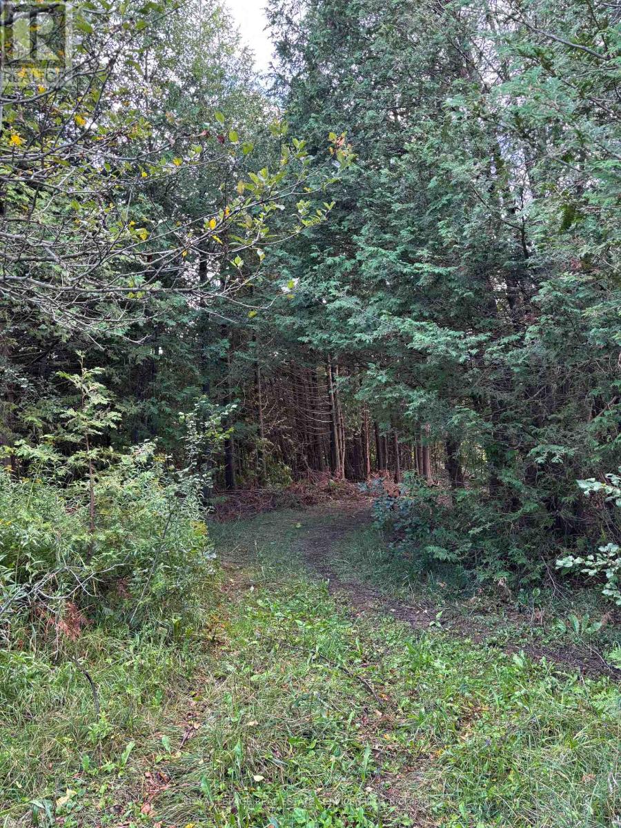 58111 12th Line (13 Acre Severed Parcel) Road, Meaford, Ontario  N4L 1W5 - Photo 8 - X13045212