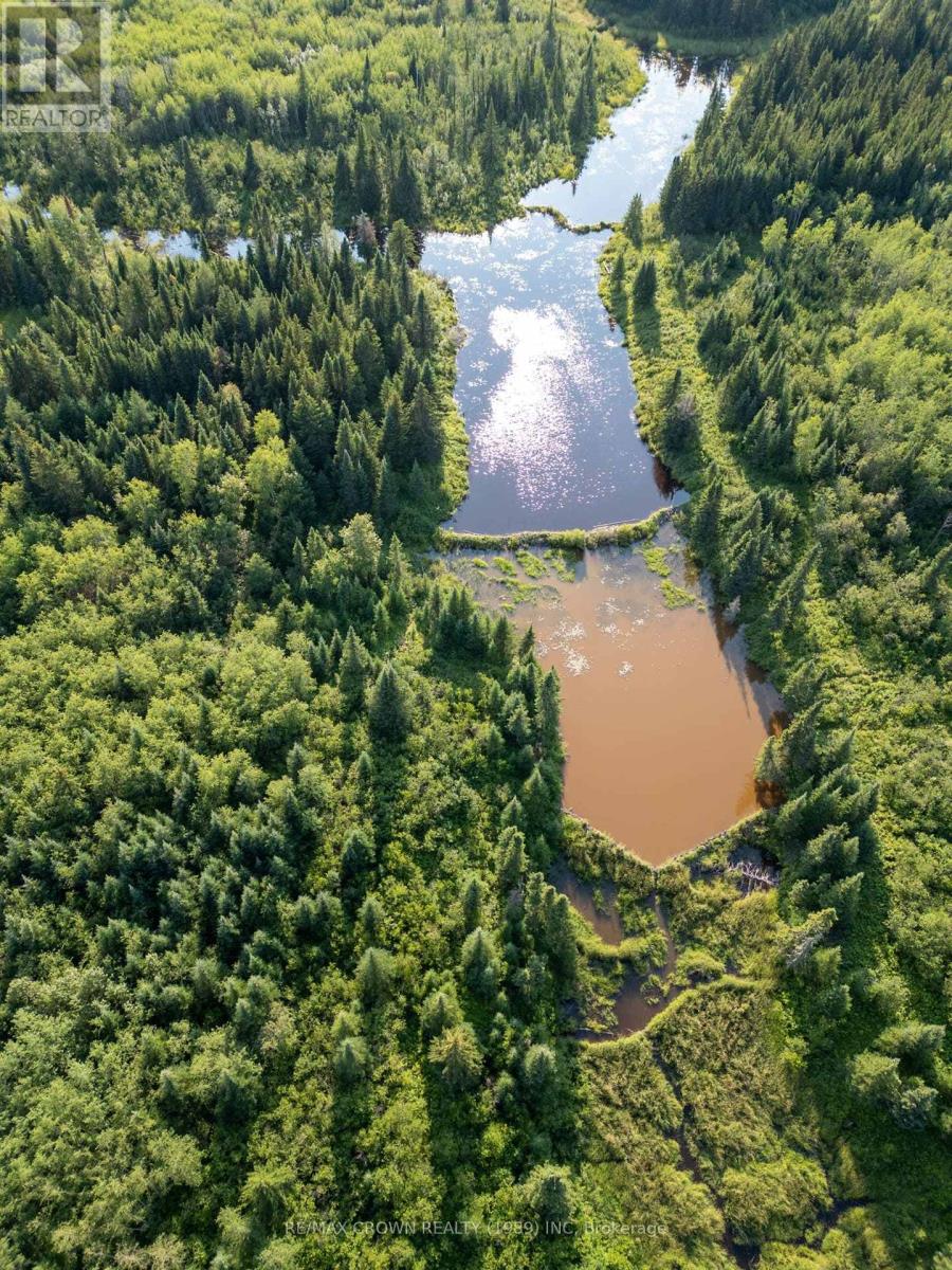 Lot 4 Pcl 2225, Mattice-Val Cote, Ontario  P0L 1T0 - Photo 5 - T13051838