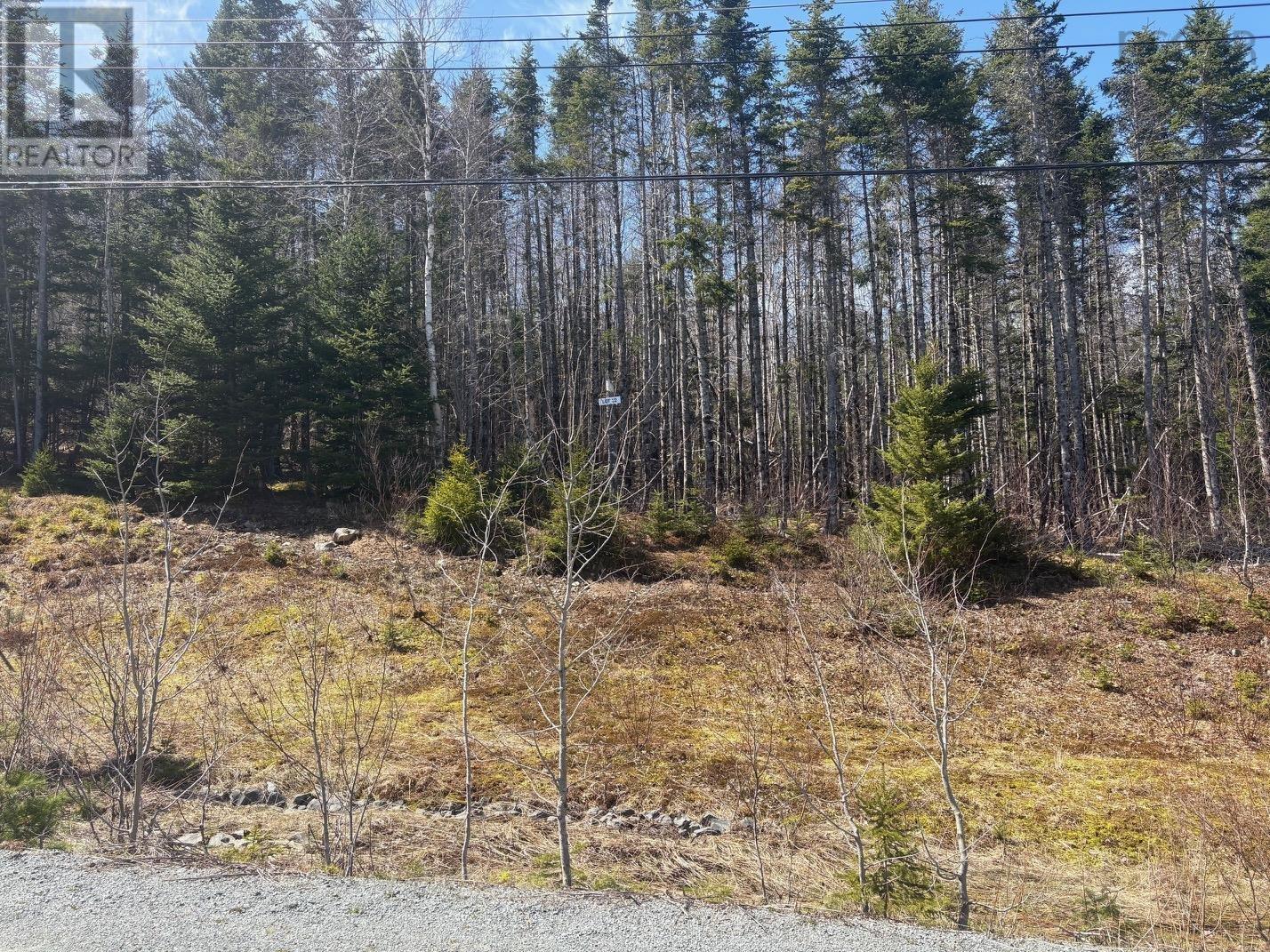Lot 22 Jorphie Drive, Mount Uniacke, Nova Scotia  B0N 1Z0 - Photo 2 - 202608801