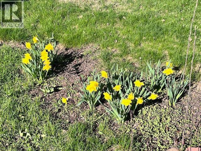 1341 Nason Street, Quesnel, British Columbia  V2J 6B4 - Photo 4 - R3111816