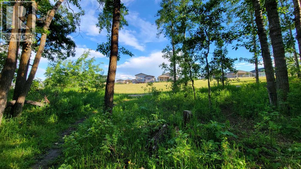 13 Vanson Close, Sylvan Lake, Alberta  T4S 0M3 - Photo 28 - A2298325