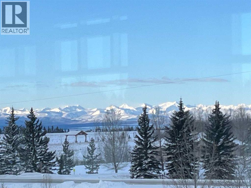 88 Willow Creek View, Rural Rocky View County, Alberta  T3R 0K3 - Photo 50 - A2300036