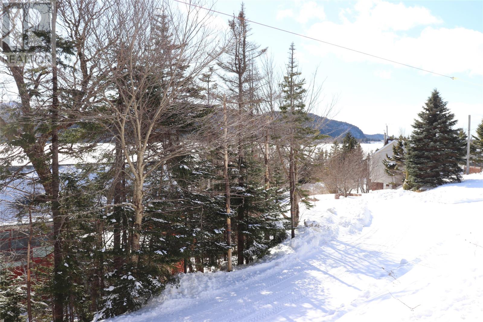 59 Gull Pond Road, Gull Pond, Newfoundland & Labrador  A2N 2Y4 - Photo 2 - 1296661