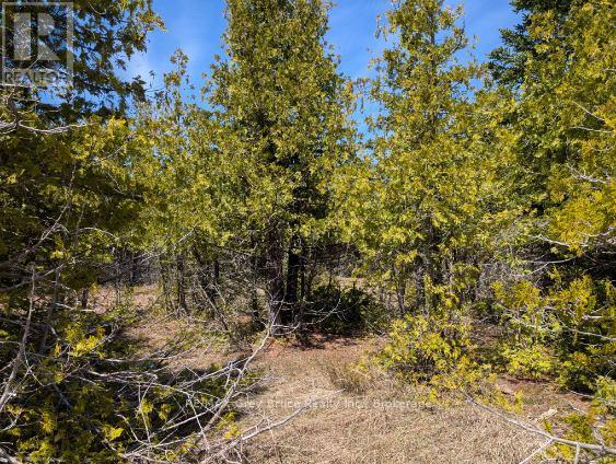 0 SUTTER ROAD, Northern Bruce Peninsula, Ontario