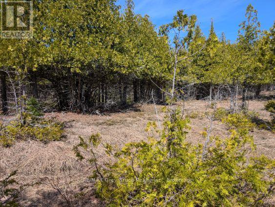 0 Sutter Road, Northern Bruce Peninsula, Ontario  N0H 2T0 - Photo 3 - X13052042