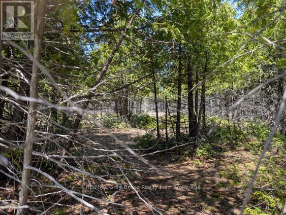 0 Sutter Road, Northern Bruce Peninsula, Ontario  N0H 2T0 - Photo 4 - X13052042
