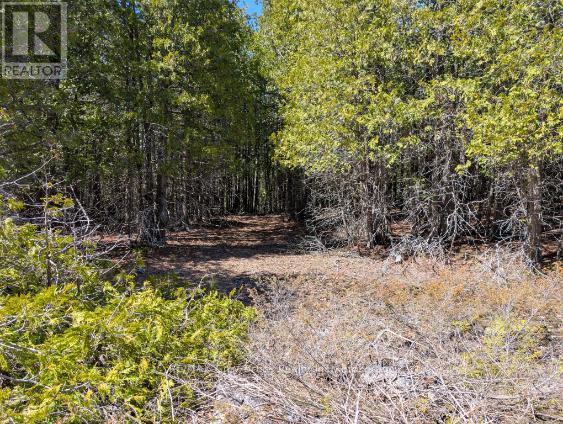 0 Sutter Road, Northern Bruce Peninsula, Ontario  N0H 2T0 - Photo 5 - X13052042