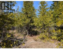 0 SUTTER ROAD, Northern Bruce Peninsula, Ontario