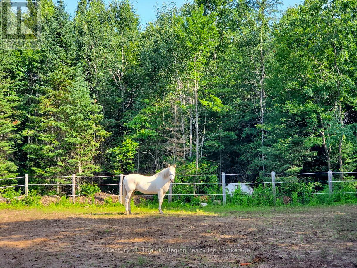 398 Highway 522, Powassan, Ontario  P0H 2L0 - Photo 41 - X12991556