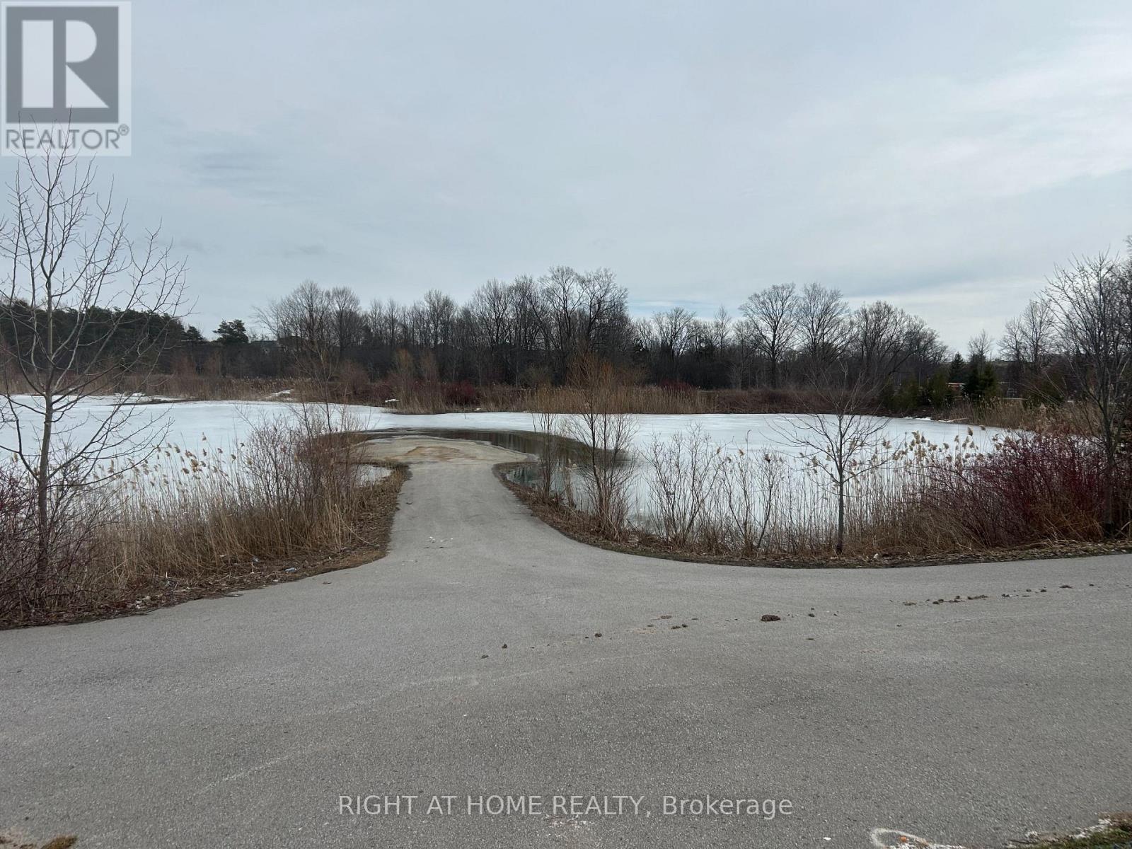 1663 Irvine Scott Street, Oshawa, Ontario  L1K 0X2 - Photo 41 - E13044068