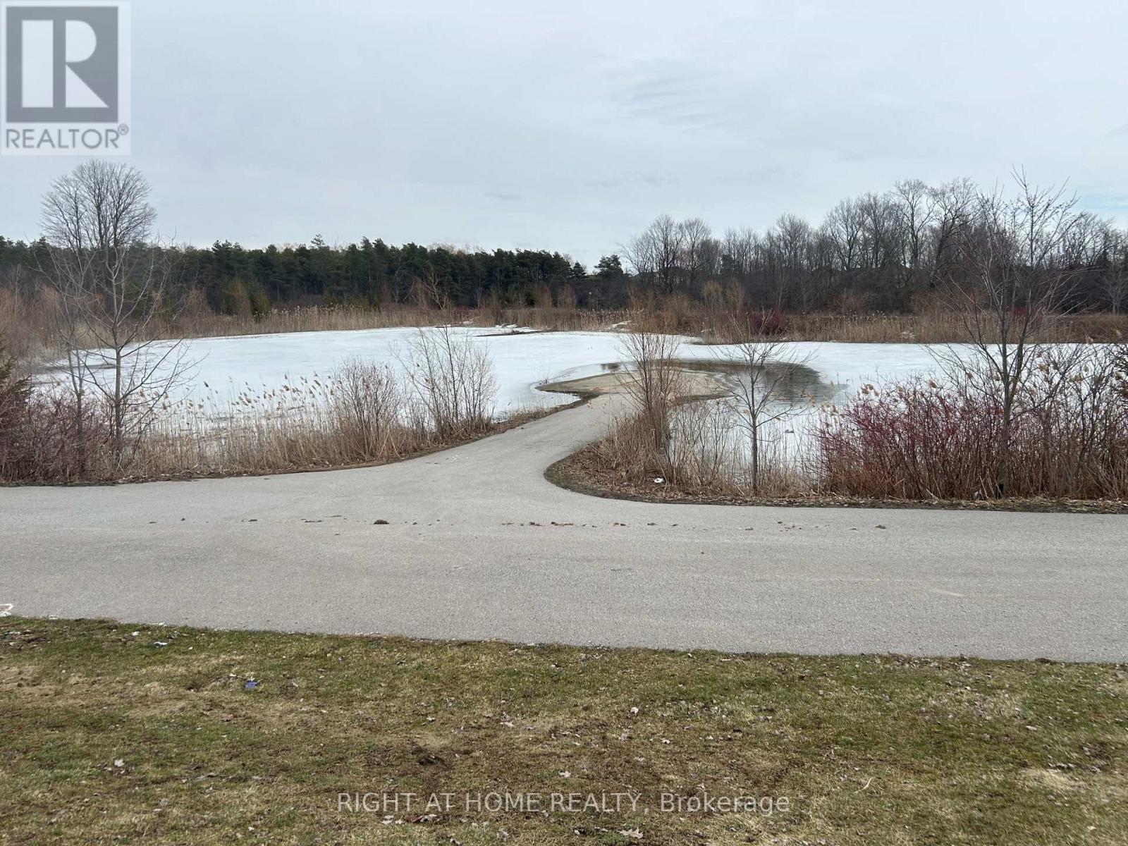 1663 Irvine Scott Street, Oshawa, Ontario  L1K 0X2 - Photo 42 - E13044068