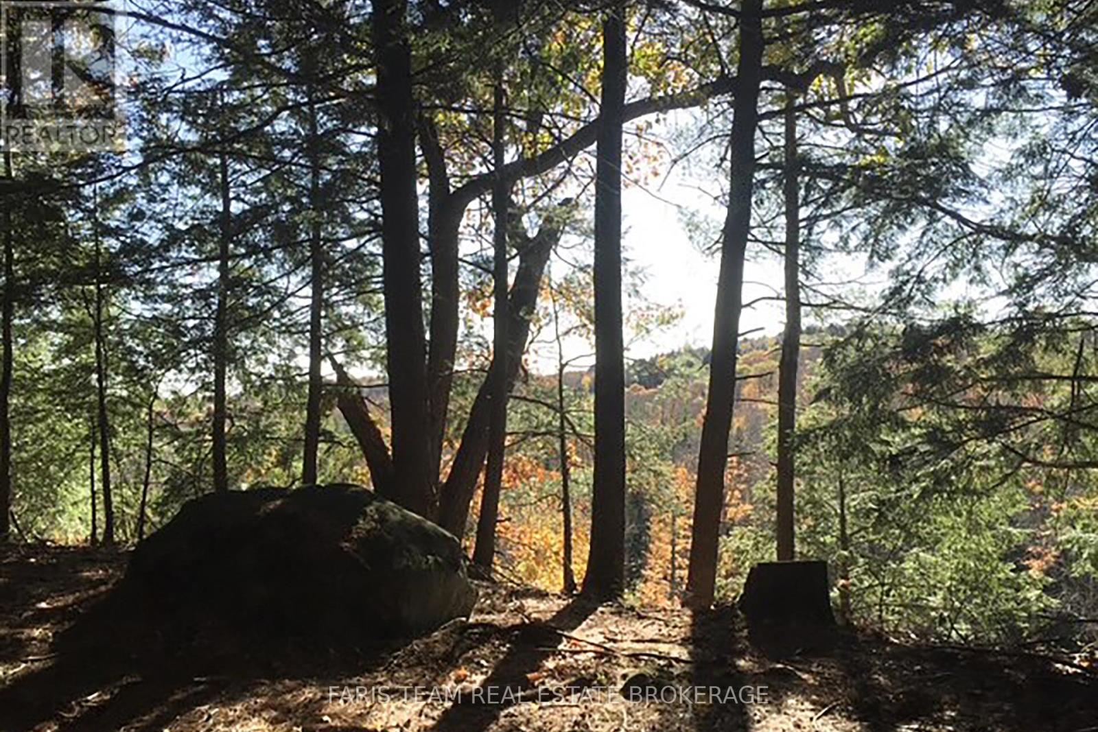 2180-2186 Highway 141, Muskoka Lakes, Ontario  P0B 1L0 - Photo 16 - X12860356