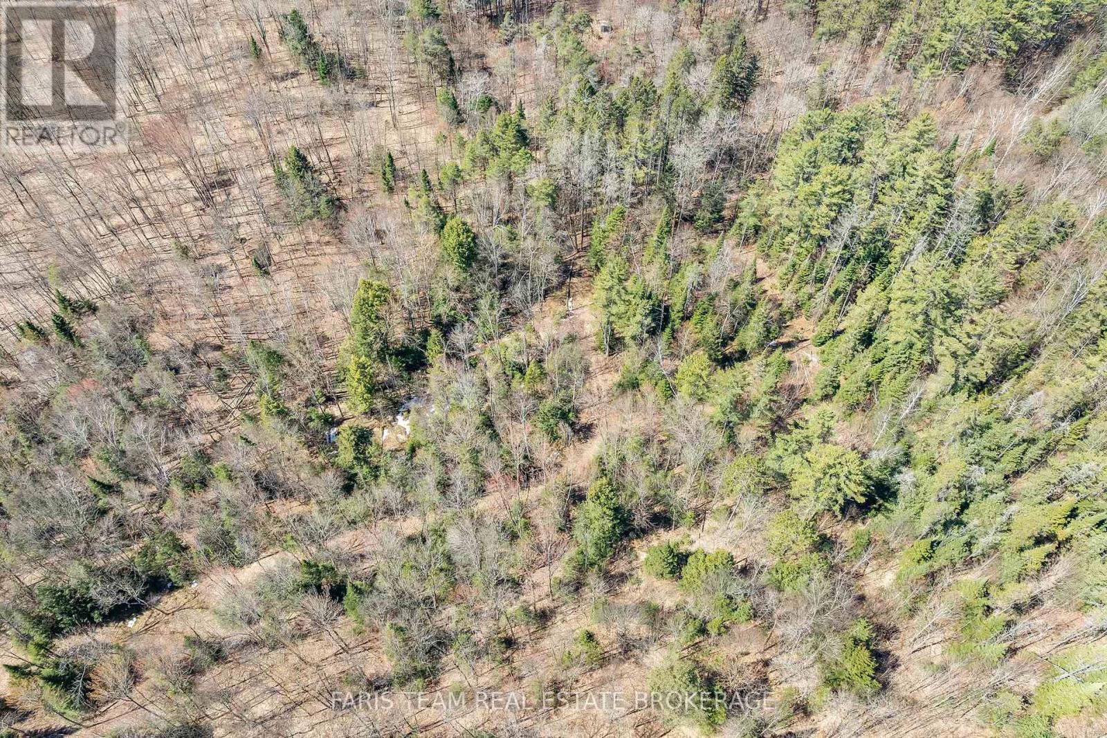 2180-2186 Highway 141, Muskoka Lakes, Ontario  P0B 1L0 - Photo 12 - X12860356