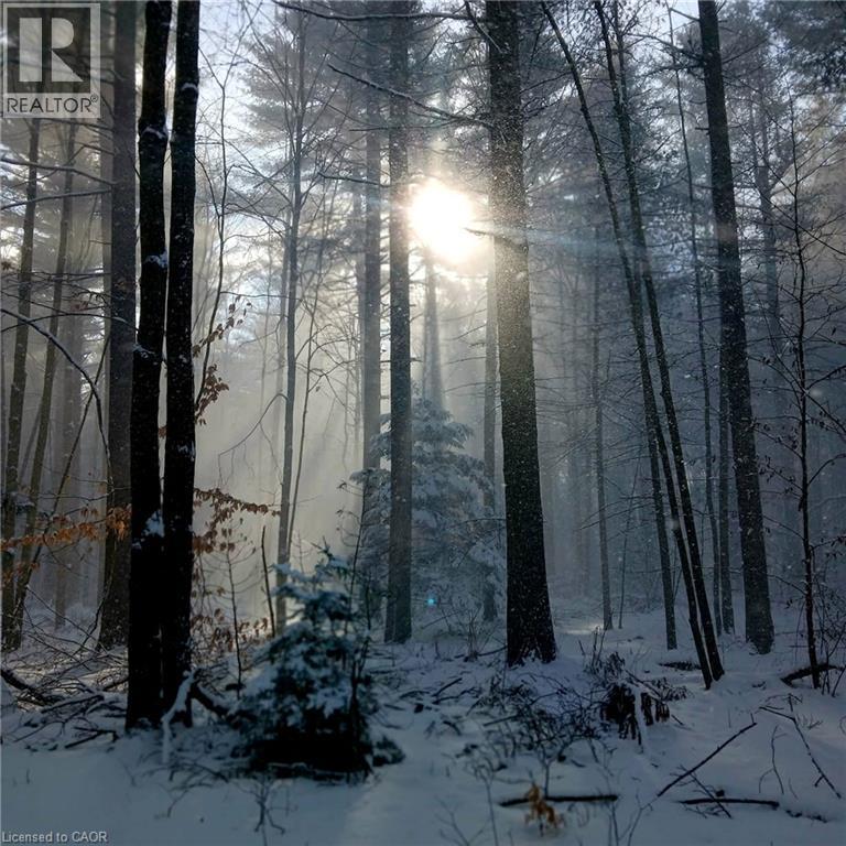 535 Mcdowell Road E, Simcoe, Ontario  N3Y 4J9 - Photo 42 - 40818146