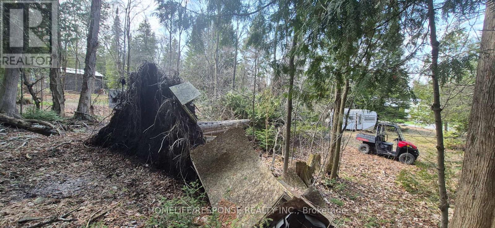 48 Waldweg, Scugog, Ontario  L0B 1B0 - Photo 1 - E13052098