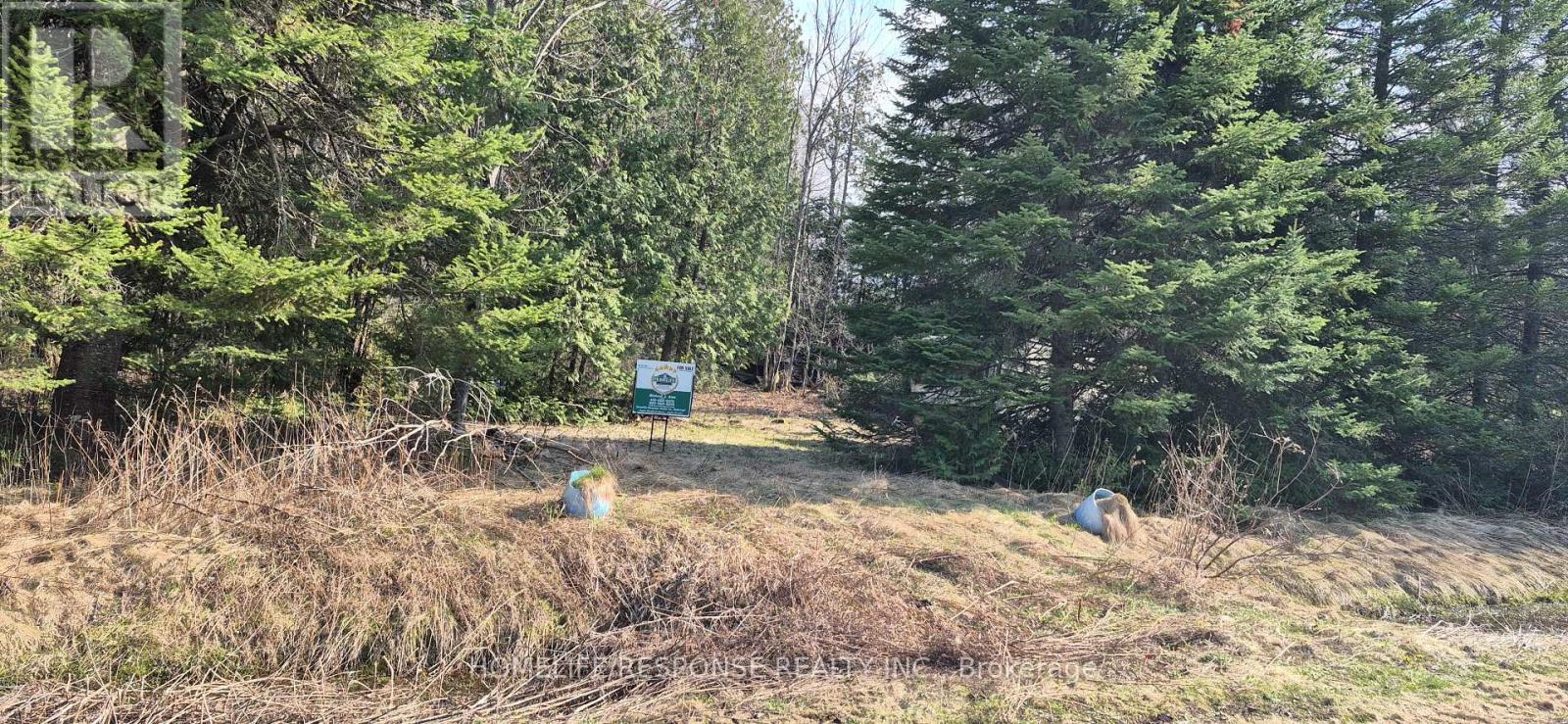 48 Waldweg, Scugog, Ontario  L0B 1B0 - Photo 5 - E13052098