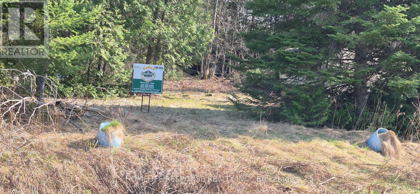 48 Waldweg, Scugog, Ontario  L0B 1B0 - Photo 6 - E13052098