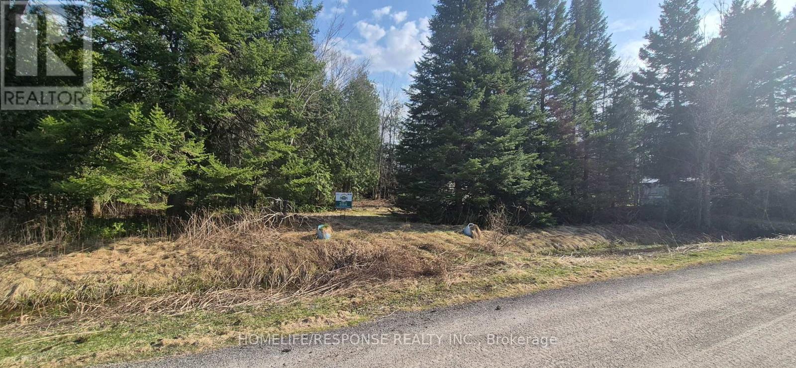 48 Waldweg, Scugog, Ontario  L0B 1B0 - Photo 7 - E13052098