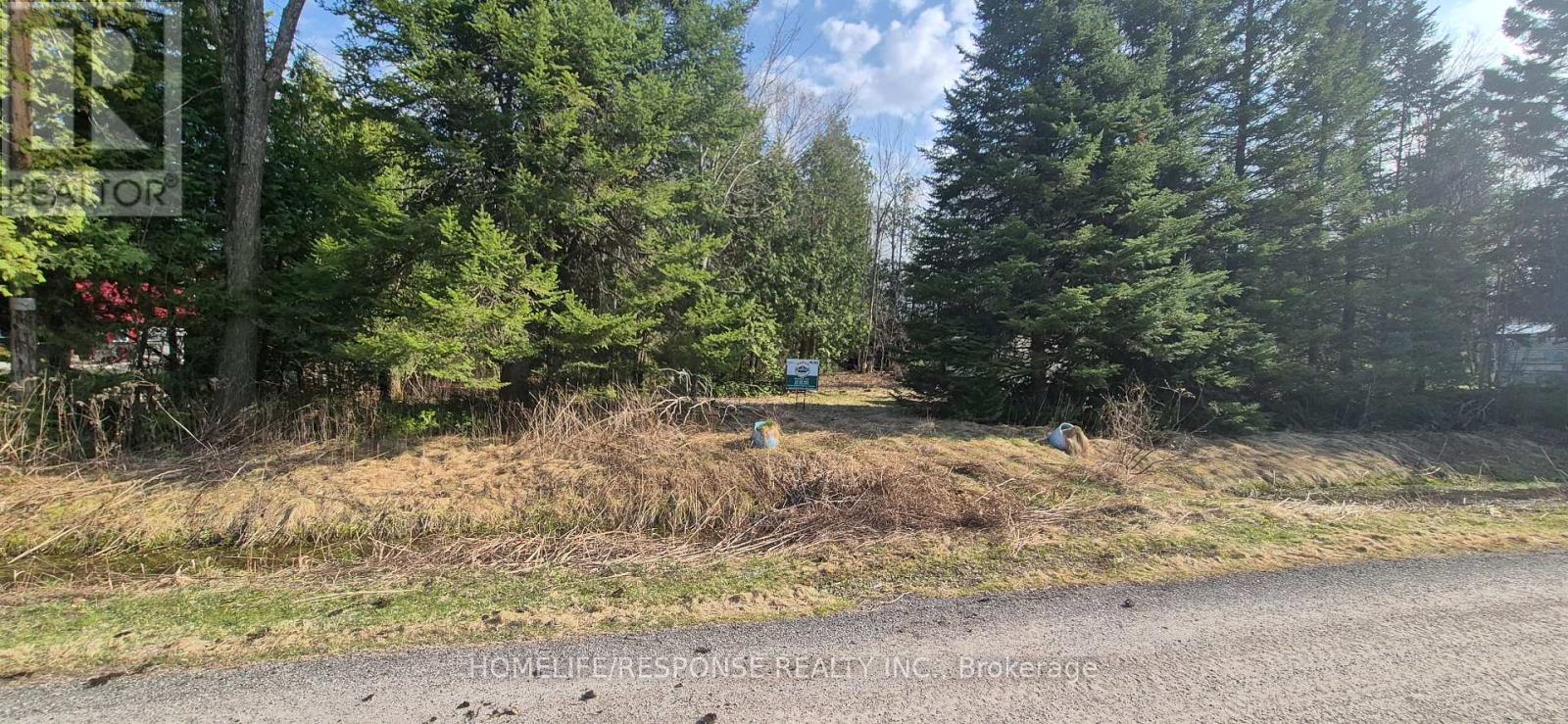 48 Waldweg, Scugog, Ontario  L0B 1B0 - Photo 8 - E13052098