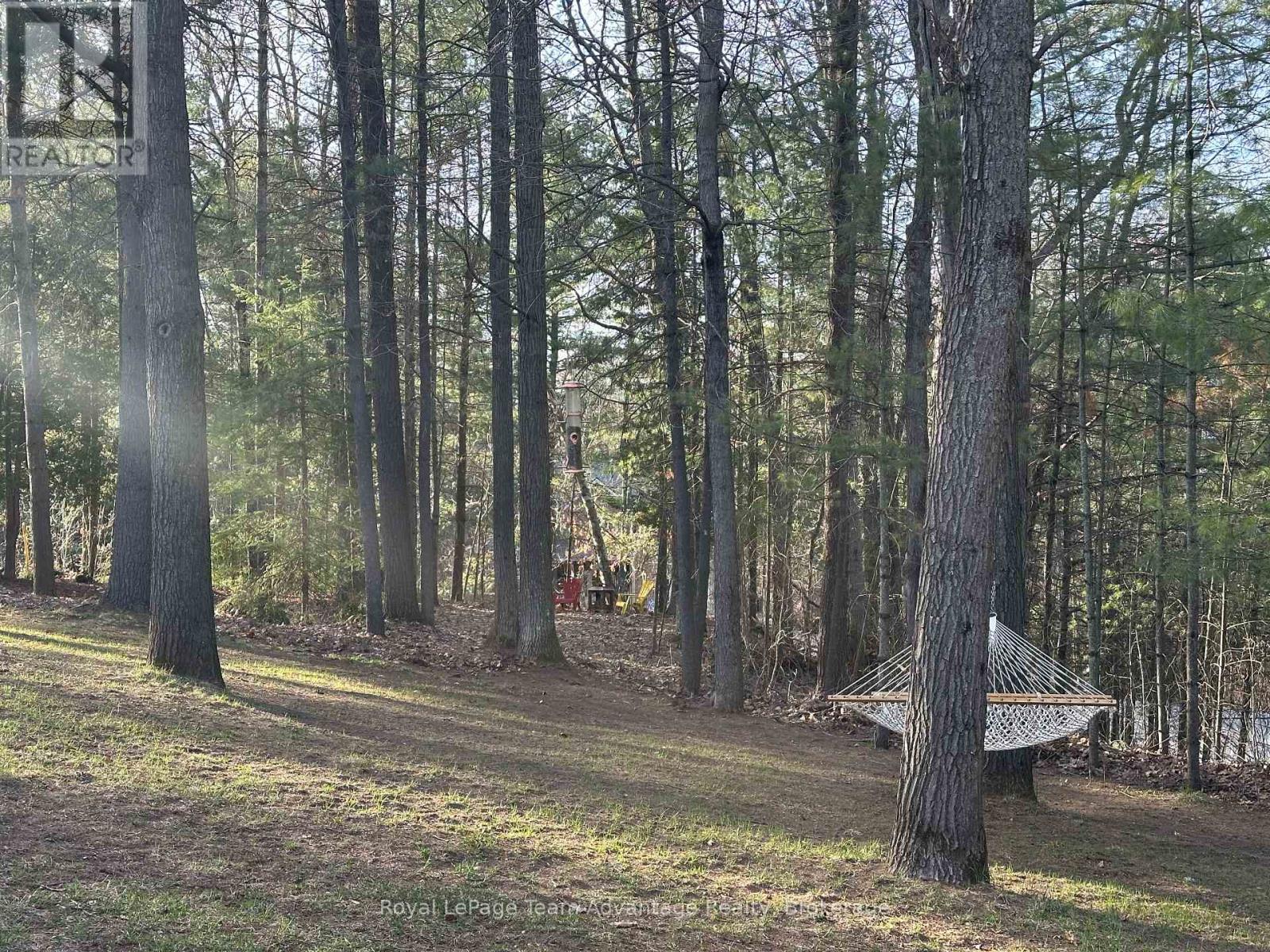 1 Big Sound Road, Mcdougall, Ontario  P0G 1G0 - Photo 44 - X12915128